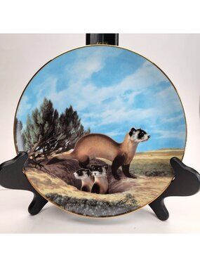 Black Footed Ferret Plate Endangered Species Animals Collectible Bradford Pd83